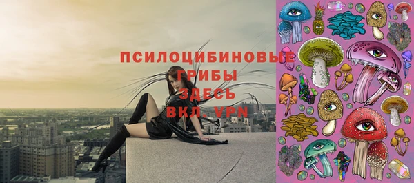 кристаллы Покровск