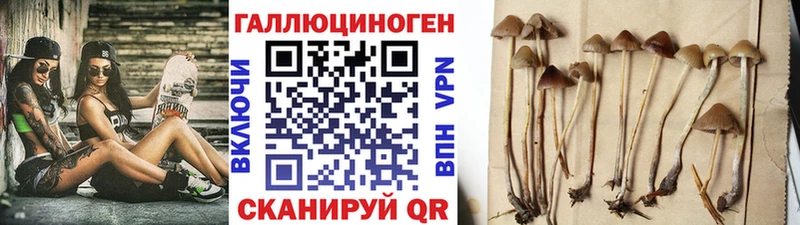 Псилоцибиновые грибы мухоморы  хочу   Волжск 